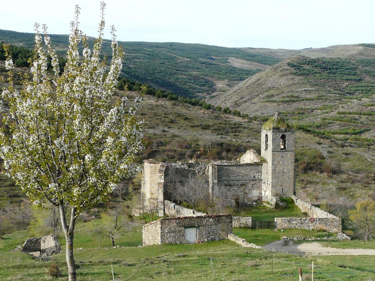 La Colmenita Daire Navalsaz Dış mekan fotoğraf