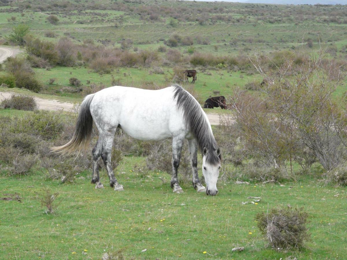 La Colmenita Daire Navalsaz Dış mekan fotoğraf